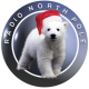 radionorthpole